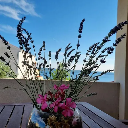 Spacious With Swimming Pool Maslenica